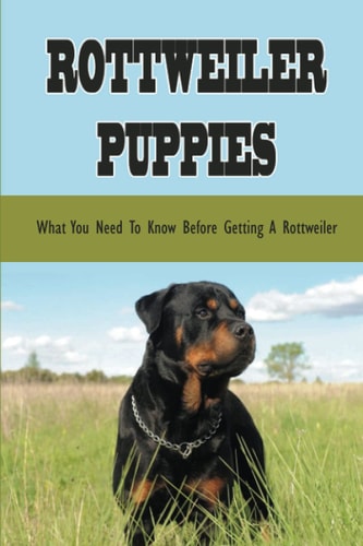 Rottweiler Puppies What You Need To Know Before Getting A Rottweiler: Guide To Rottweiler Breeding