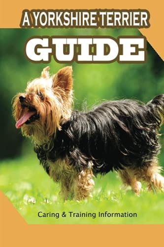 A Yorkshire Terrier Guide Caring & Training Information: Bringing Your Yorkie Puppy Home