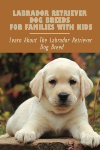 Labrador Retriever Dog Breeds For Families With Kids Learn About The Labrador Retriever Dog Breed: Labrador Retriever Personality