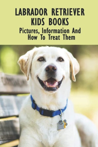 Labrador Retriever Kids Books Pictures, Information And How To Treat Them: Labrador Retriever Facts