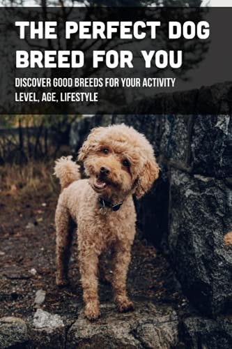 The Perfect Dog Breed For You Discover Good Breeds For Your Activity Level, Age, Lifestyle: Types Of Dogs