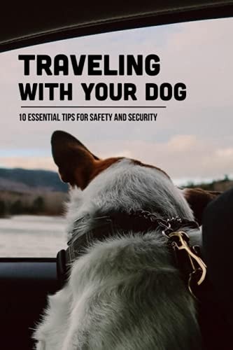 Traveling With Your Dog 10 Essential Tips For Safety And Security: Where Can My Dog Stay While I'M On Vacation