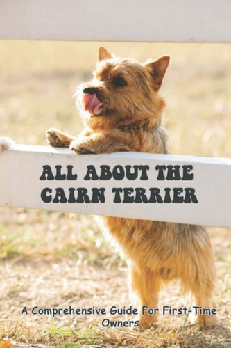 All About The Cairn Terrier A Comprehensive Guide For First-Time Owners: Training And General Behaviour Of Cairn Terrier
