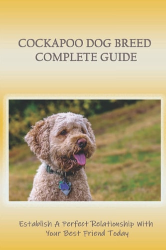 Cockapoo Dog Breed Complete Guide Establish A Perfect Relationship With Your Best Friend Today: Skin