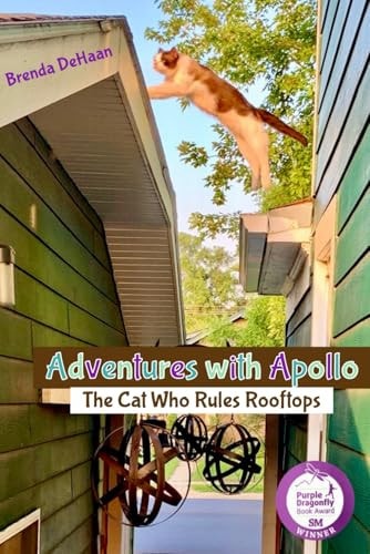 Adventures with Apollo The Cat Who Rules Rooftops