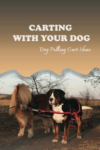 Carting With Your Dog Dog Pulling Cart Ideas: What Are The Basic Dog Commands?