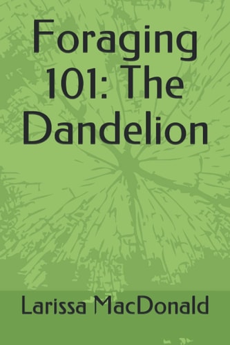 Foraging 101 The Dandelion