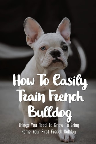 How To Easily Train French Bulldog Things You Need To Know To Bring Home Your First French Bulldog: Simple Tips For Getting A French Bulldog Puppy
