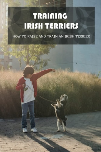 Training Irish Terriers How To Raise And Train An Irish Terrier: Irish Terrier Cross