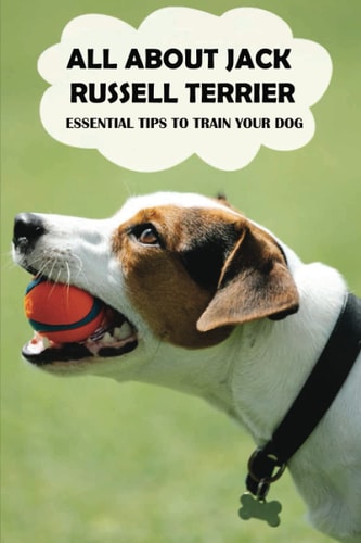 All About Jack Russell Terrier Essential Tips To Train Your Dog: Things You Didn'T Know About Jack Russell Terriers
