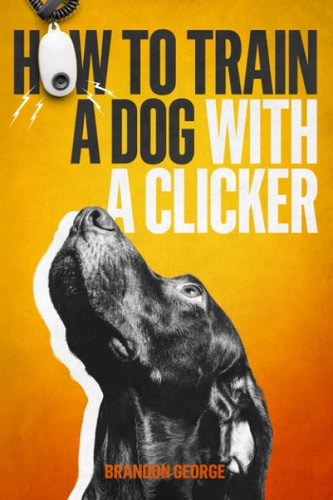 How to Train a Dog with a Clicker