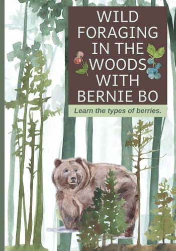 Wild Foraging In The Woods With Bernie Bo Learn The Type Of Berries