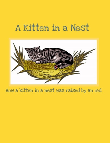 A Kitten in a Nest How a Kitten in a Nest was Raised by an Owl