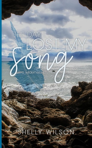 The Day I Lost My Song A Wilderness Journey