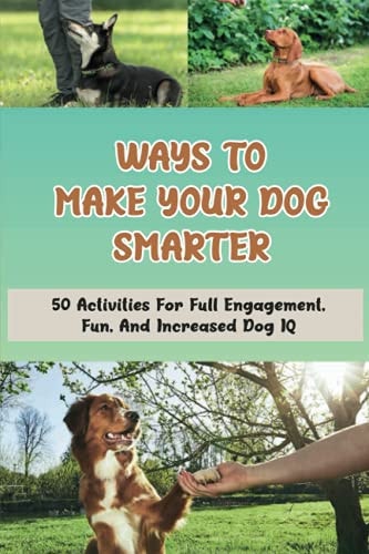 Ways To Make Your Dog Smarter 50 Activities For Full Engagement, Fun, And Increased Dog IQ: How Can I Make My Dog More Intelligent