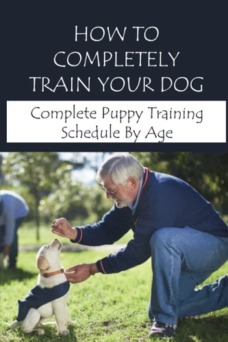 How To Completely Train Your Dog Complete Puppy Training Schedule By Age: New Puppy Training Tips