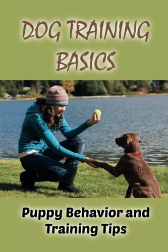 Dog Training Basics Puppy Behavior and Training Tips: How To Train Your Dog & Top Training Tips