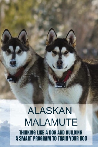 Alaskan Malamute Thinking Like A Dog And Building A Smart Program To Train Your Dog: Tips For English Foxhound Training
