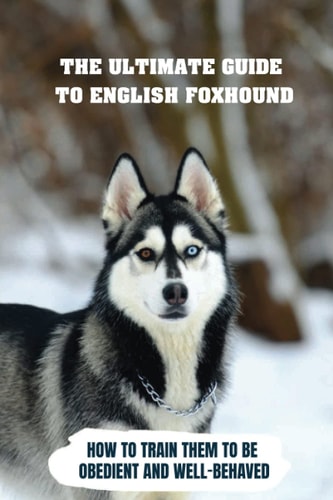 The Ultimate Guide To English Foxhound How To Train Them To Be Obedient And Well-Behaved: How To Stop Your English Foxhound From Scratching Things