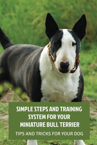 Simple Steps And Training System For Your Miniature Bull Terrier Tips And Tricks For Your Dog: Training Your Miniature Bull Terrier