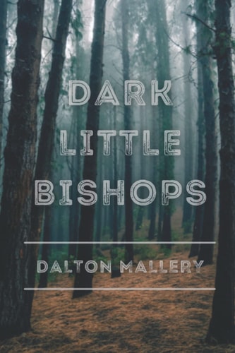 Dark Little Bishops A Short Story Collection