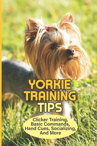 Yorkie Training Tips Clicker Training, Basic Commands, Hand Cues, Socializing, And More: How To Train A Yorkie Terrier