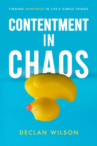 Contentment in Chaos Finding Happiness in Life's Simple Things