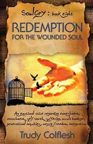 SoulCry Book 8 Redemption for the Wounded Soul