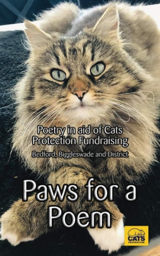 Paws for a Poem For All Misplaced Cats