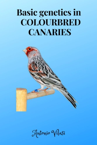 Basic Genetics in COLOURBRED CANARIES