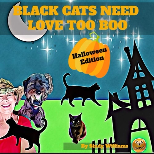 Black Cats Need Love Too Boo Halloween Edition