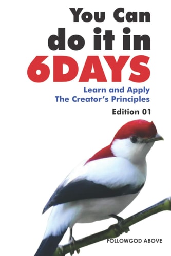 You Can Do It in Six Days Learn and Apply The Creator's Principles