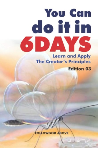 You Can Do It in Six Days Learn and Apply The Creator's Principles