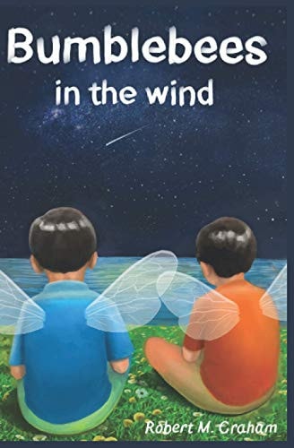 Bumblebees in the Wind A Book about Perseverance and Positivism