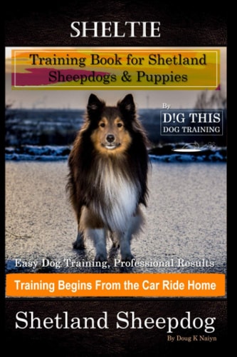 Sheltie Training Book for Shetland Sheepdogs & Puppies By D!G THIS DOG Training, Easy Dog Training, Professional Results, Training Begins from the Car Ride Home, Shetland Sheepdog