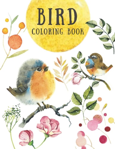 Bird Coloring Book Creative and Stress Relieving Activity for Kids and Adults - Beautiful Nature Designs - Relaxation for Children (Large 8. 5x11 Inch, Glossy Cover)