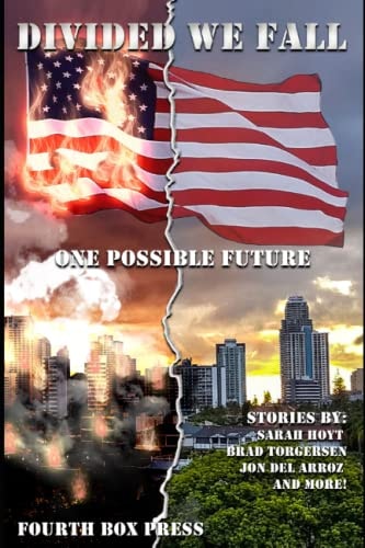 Divided We Fall One Possible Future