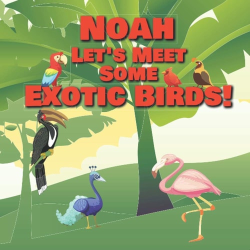 Noah Let's Meet Some Exotic Birds! Personalized Kids Books with Name - Tropical & Rainforest Birds for Children Ages 1-3