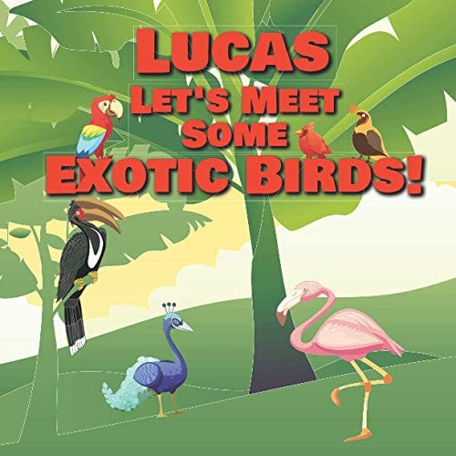 Lucas Let's Meet Some Exotic Birds! Personalized Kids Books with Name - Tropical & Rainforest Birds for Children Ages 1-3