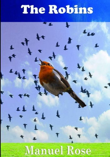 The Robins A Kids Book