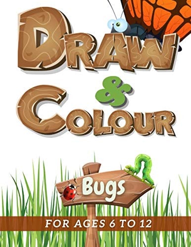 Draw and Colour Bugs 100 Pages of Educational Bug Fun for Children Ages 6 To 12