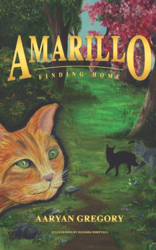 Amarillo Finding Home