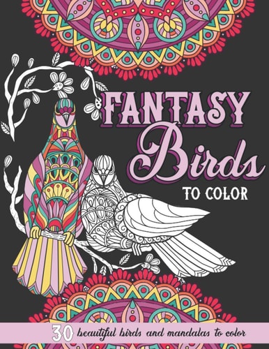 Fantasy Birds to Color Beautiful Birds and Mandalas Adult Coloring Book