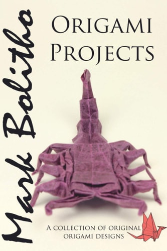 Origami Projects A Collection of Original Origami Designs