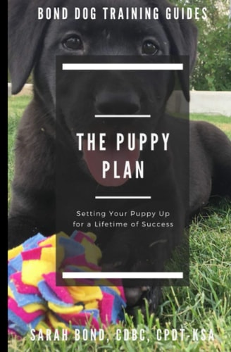 The Puppy Plan Setting Your Puppy Up for a Lifetime of Success