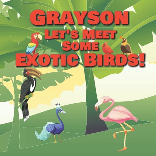 Grayson Let's Meet Some Exotic Birds! Personalized Kids Books with Name - Tropical & Rainforest Birds for Children Ages 1-3