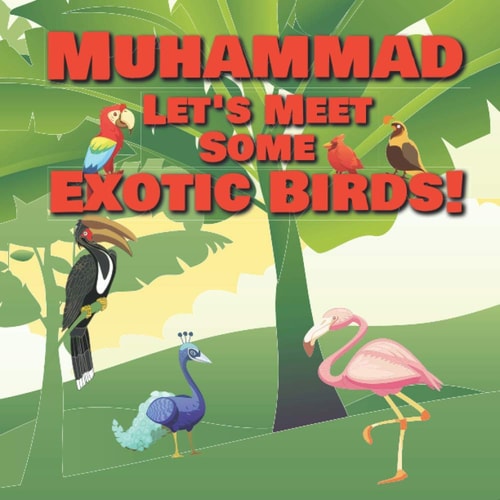 Muhammad Let's Meet Some Exotic Birds! Personalized Kids Books with Name - Tropical & Rainforest Birds for Children Ages 1-3