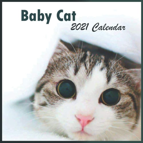 2121 Baby Cats Calendar