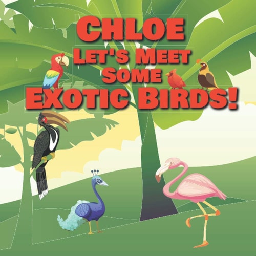 Chloe Let's Meet Some Exotic Birds! Personalized Kids Books with Name - Tropical & Rainforest Birds for Children Ages 1-3