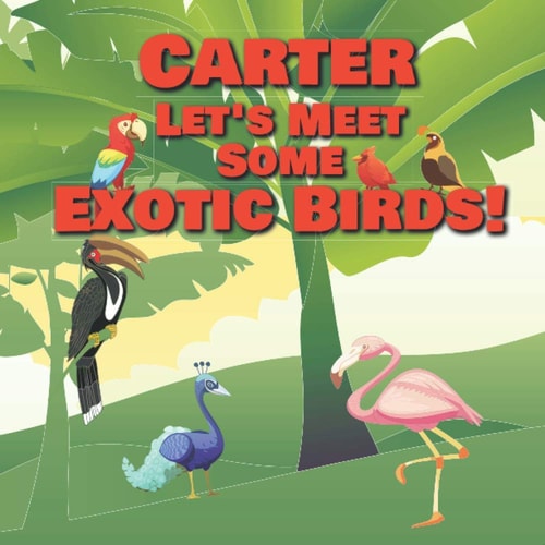 Carter Let's Meet Some Exotic Birds! Personalized Kids Books with Name - Tropical & Rainforest Birds for Children Ages 1-3